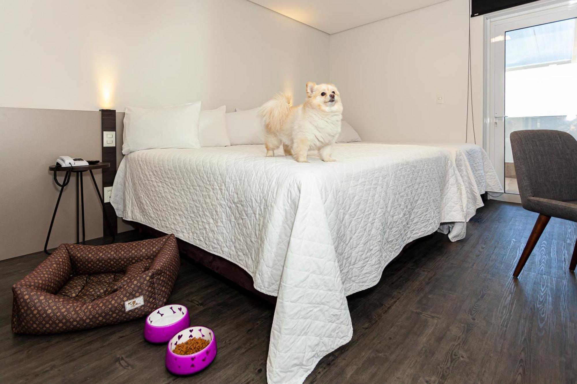 Travel Inn Hotels Caxias Do Sul Luaran gambar